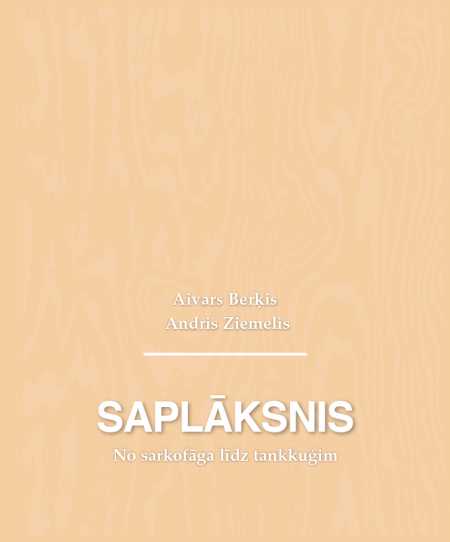 Saplāksnis: No sarkofāga līdz tankkuģim