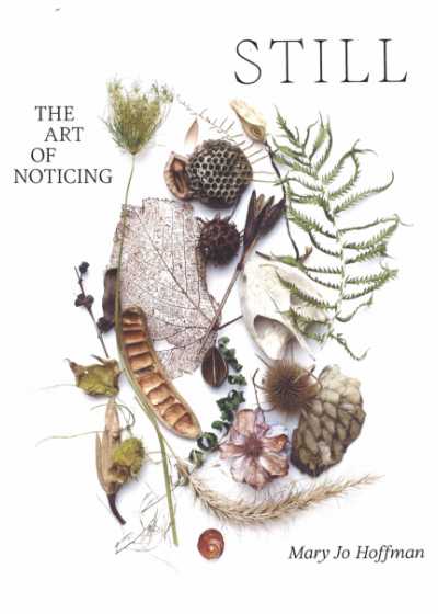 STILL: The Art of Noticing